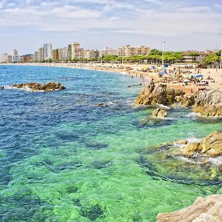 Διαμέρισμα Beautiful Beachfront In Paradise *