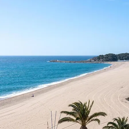 Beautiful Beachfront In Paradise Apartment